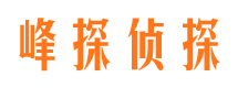 东源市侦探调查公司